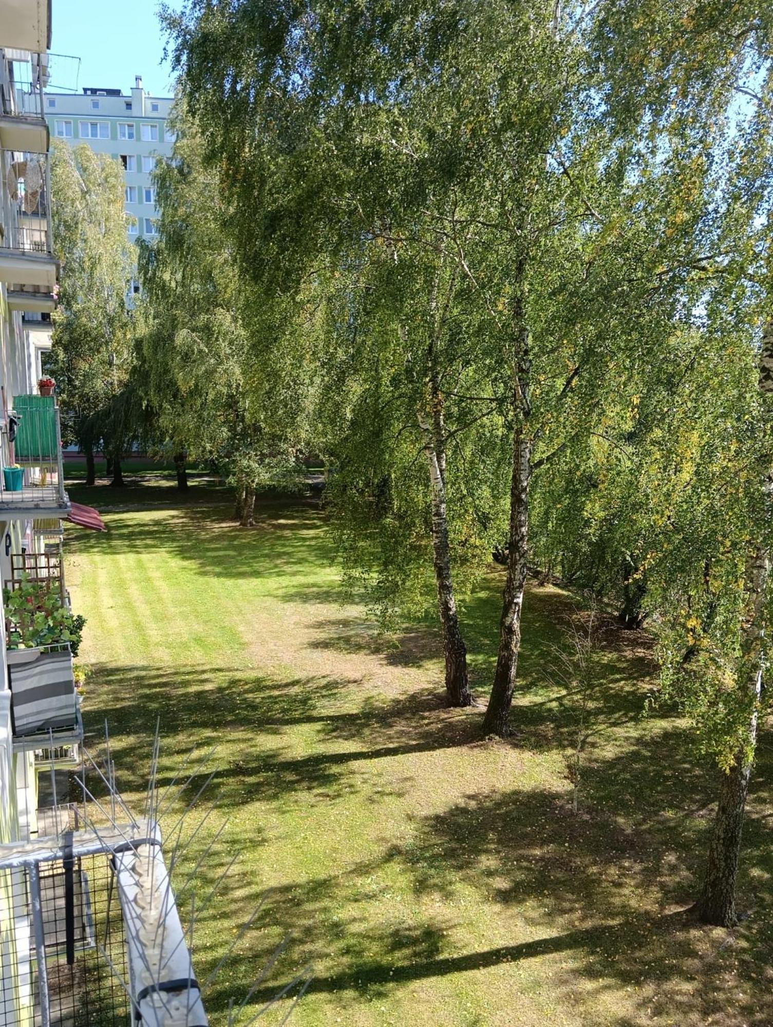 Apartament Telimena オルシュティン エクステリア 写真