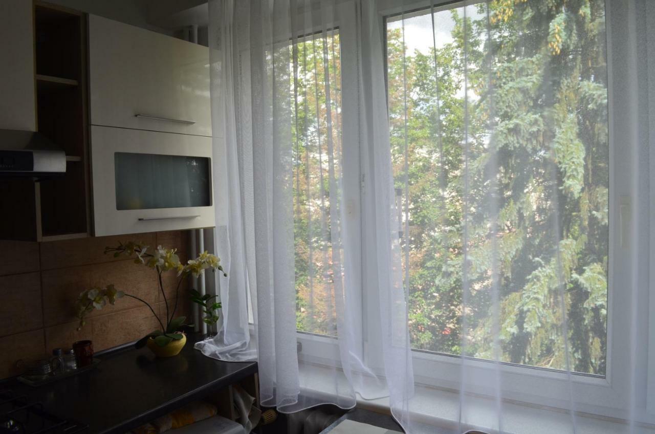 Apartament Telimena オルシュティン エクステリア 写真